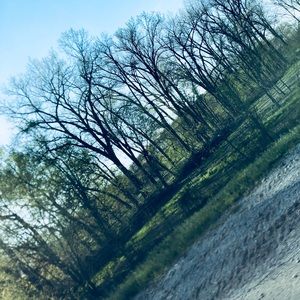 Meet your Posher, Ally